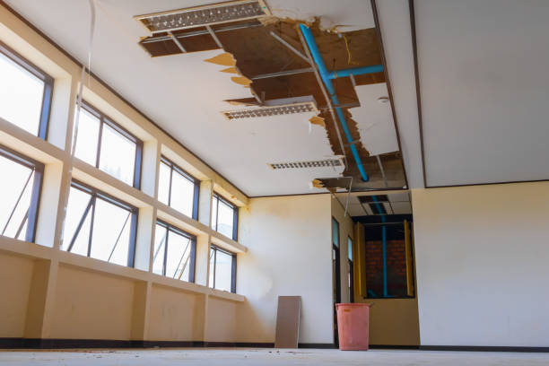 Best Emergency water damage restoration  in Goodrich, MI