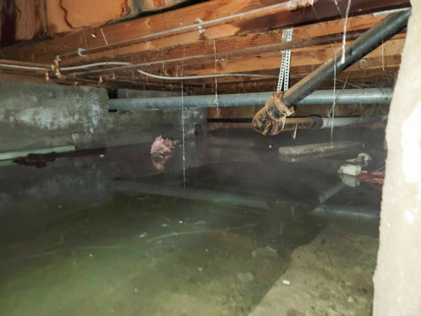Trusted Goodrich, MI Water damage restoration Experts