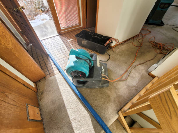 Best Flood restoration services  in Goodrich, MI