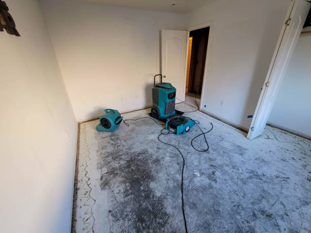 Best Water damage cleanup near me  in Goodrich, MI