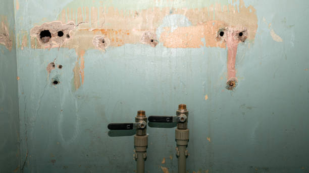 Best Residential water damage restoration  in Goodrich, MI