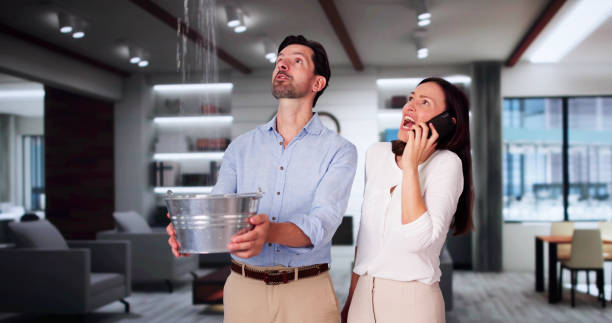 Best Local water damage restoration  in Goodrich, MI