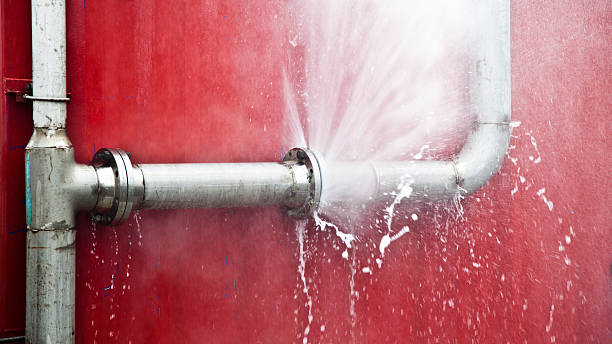 Best Water damage cleanup near me  in Goodrich, MI